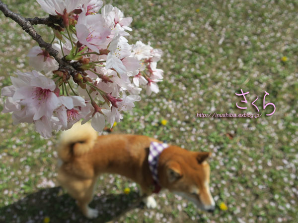 a0286855_06172323.jpg