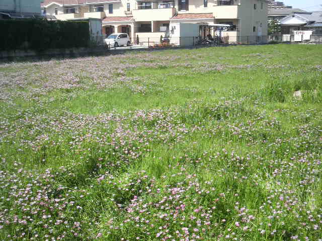 a0313160_1655428.jpg