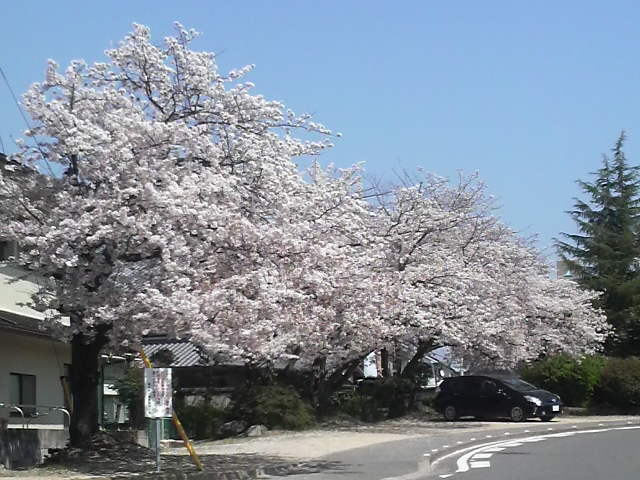 a0313160_16594073.jpg