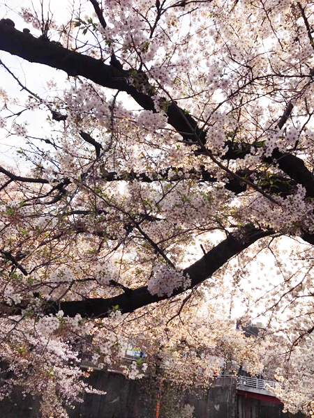 a0246661_20311419.jpg