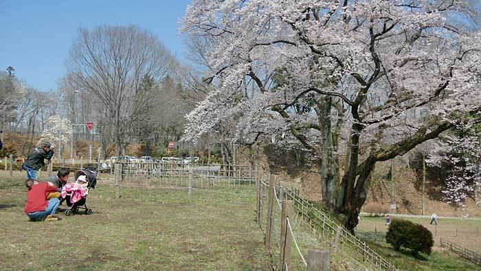 c0043361_22311297.jpg
