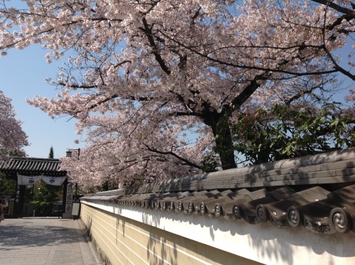 b0153663_12513204.jpeg
