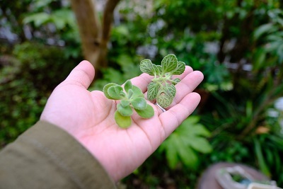 e0225164_07492802.jpg