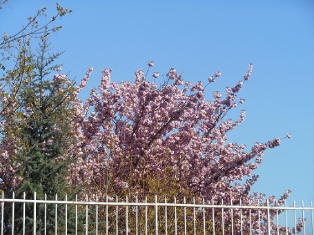 c0221565_13140975.jpg