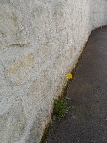 c0221565_13144384.jpg