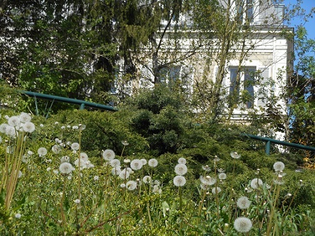 c0221565_13161718.jpg