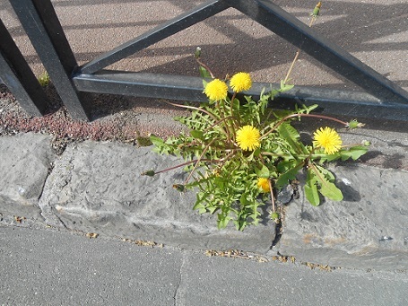 c0221565_13181765.jpg
