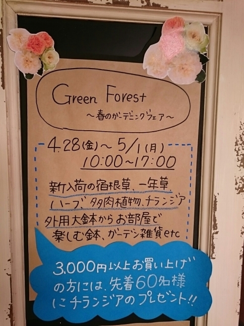 f0201565_14542876.jpg