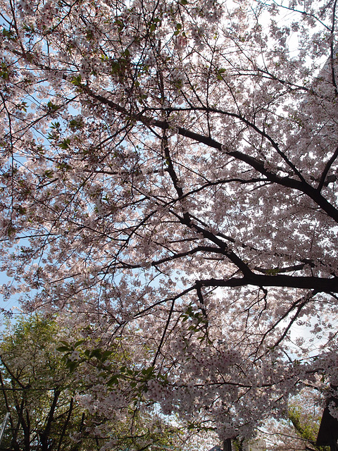 b0006870_23211849.jpg