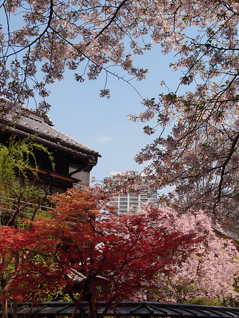 b0006870_23213934.jpg