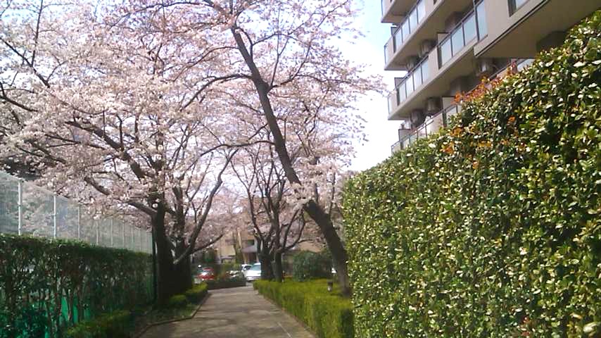 d0225173_17531442.jpg