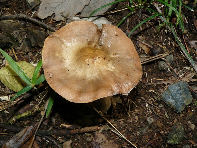 d0019074_16391522.jpg
