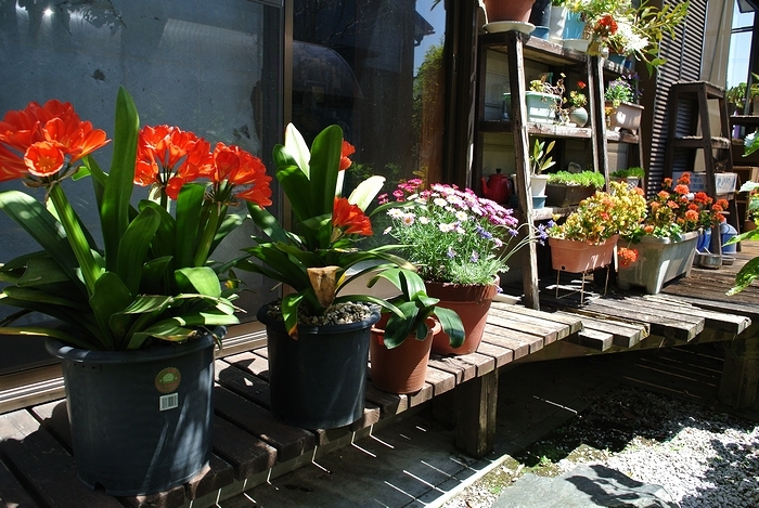b0130176_23010400.jpg