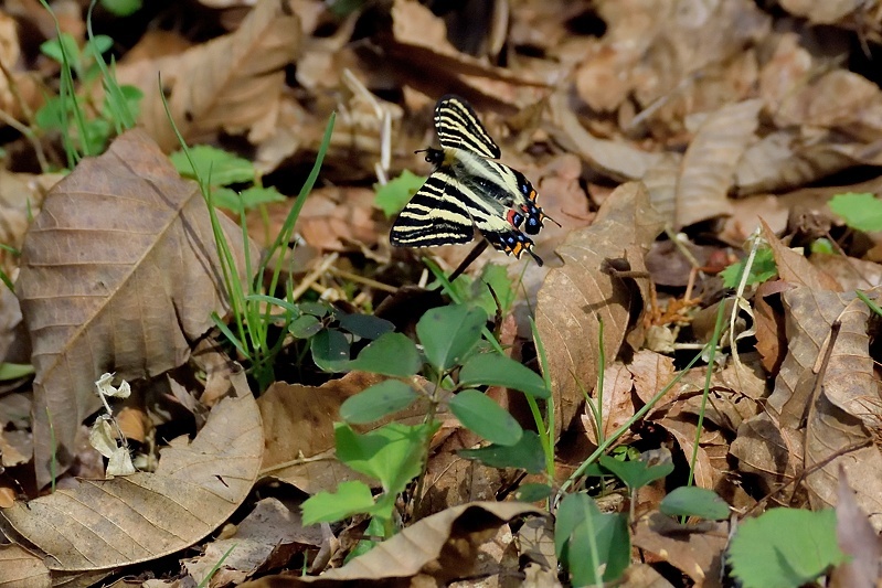 f0031682_17110206.jpg