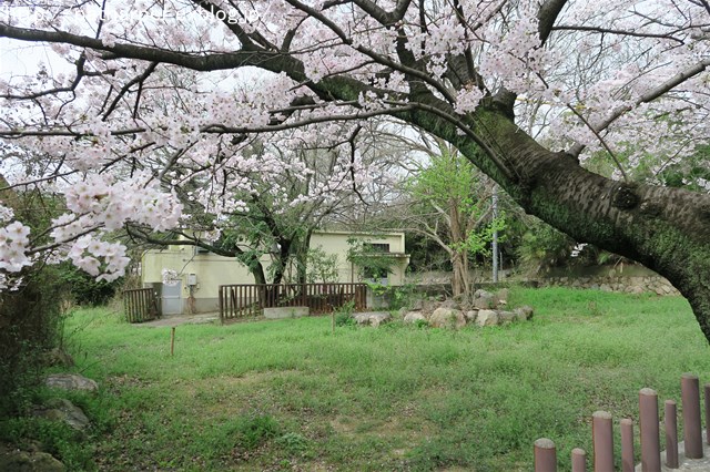 a0052986_7325610.jpg