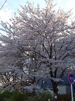c0014187_2385148.jpg