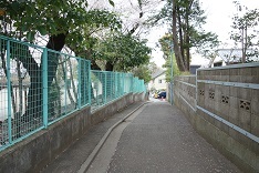 d0183387_19331387.jpg