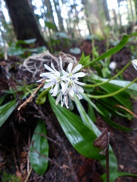 f0357487_22443879.jpg