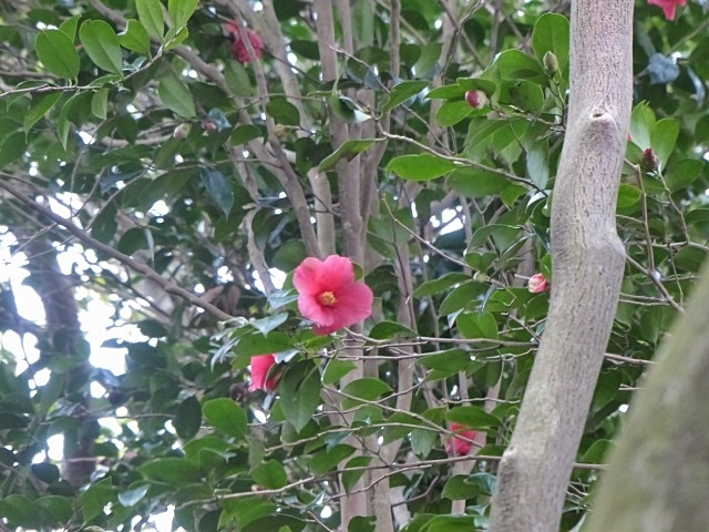 f0357487_22491101.jpg