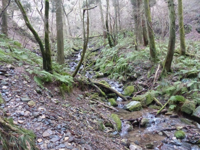 f0357487_22551843.jpg