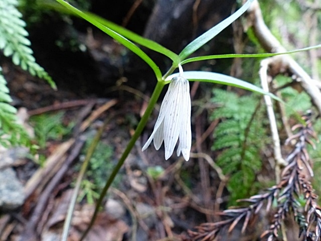 f0357487_23005594.jpg