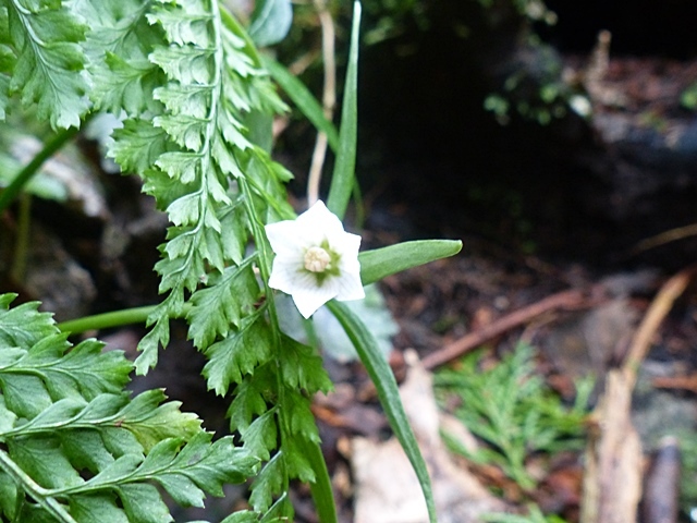 f0357487_23014850.jpg