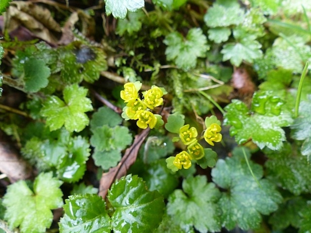 f0357487_23165989.jpg