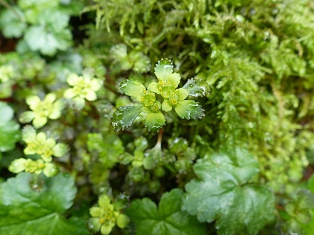 f0357487_23185211.jpg