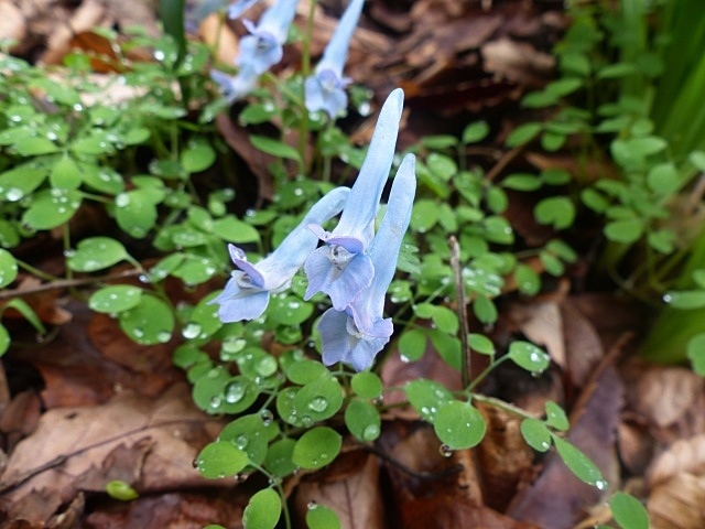 f0357487_23204647.jpg