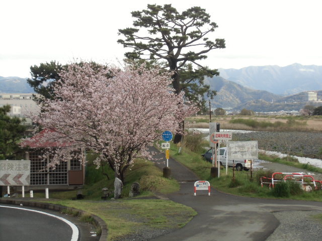 e0114588_15000325.jpg