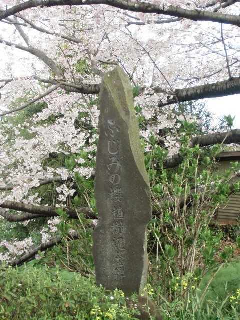 e0114588_15021291.jpg