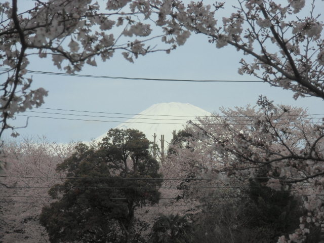 e0114588_15023712.jpg