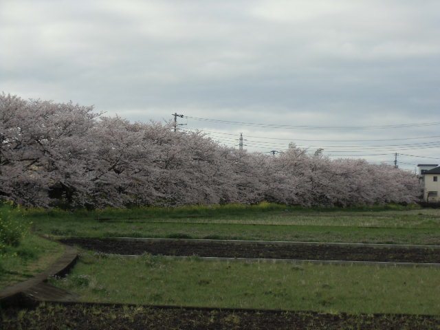 e0114588_15024903.jpg