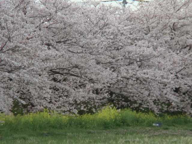e0114588_15030043.jpg