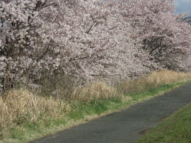 e0114588_15031538.jpg