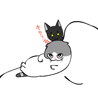 c0011300_22113200.gif