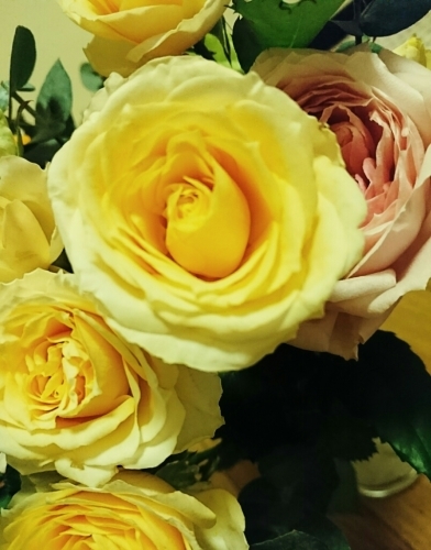 a0216805_10511286.jpg