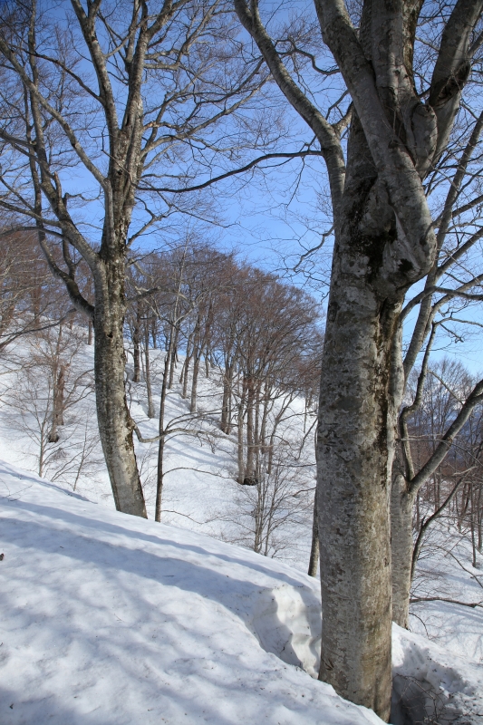 b0050305_1944393.jpg