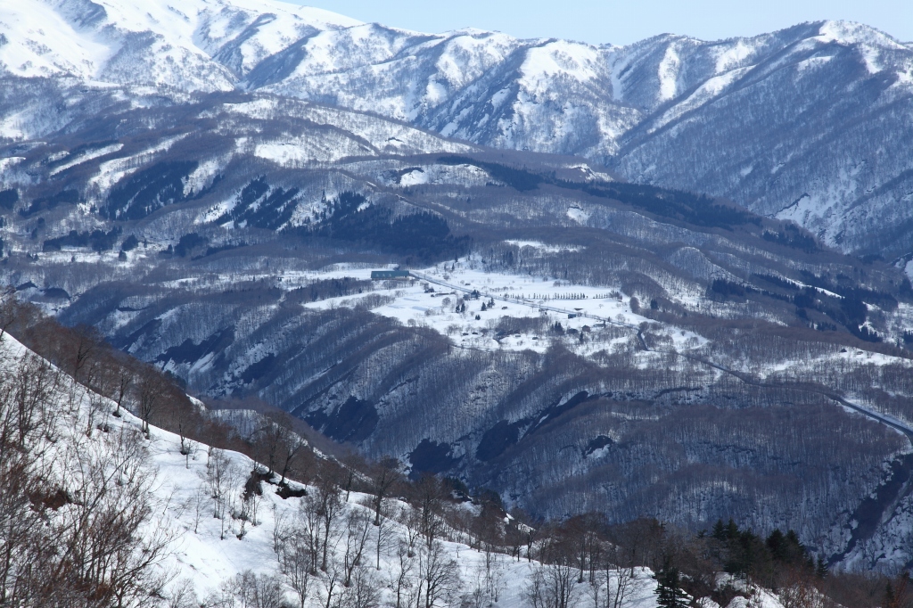 b0050305_19521599.jpg