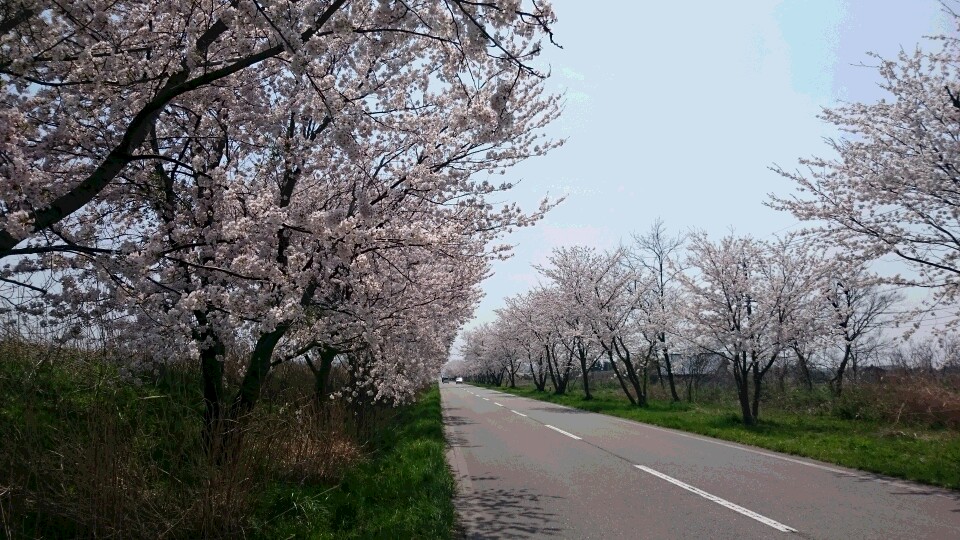 e0172608_12294511.jpg