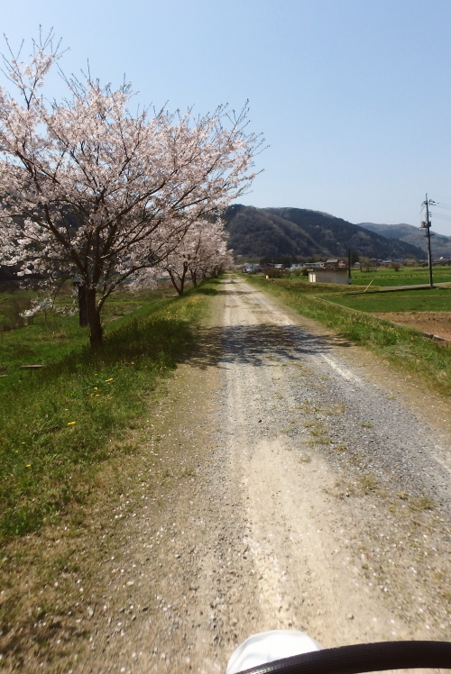 f0368610_23004121.jpg
