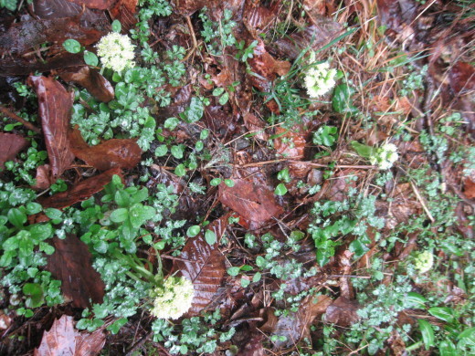 c0062511_22541782.jpg