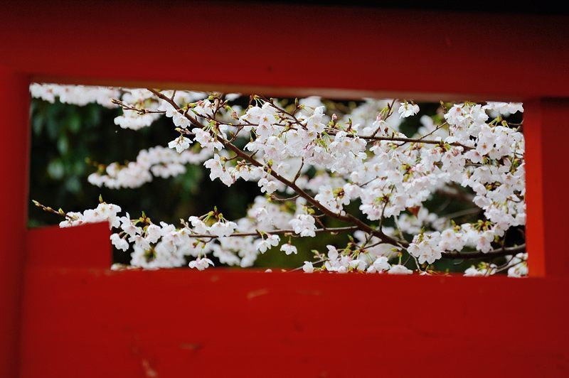 f0032011_21512808.jpg