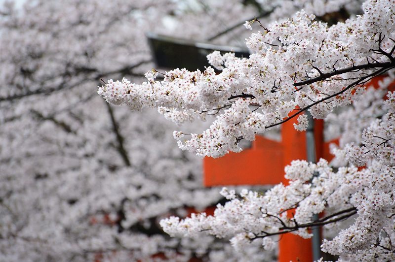 f0032011_21512823.jpg