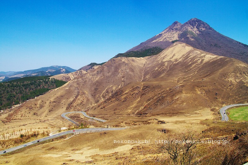 b0003512_08365045.jpg