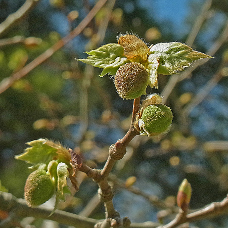 c0190915_19254166.jpg