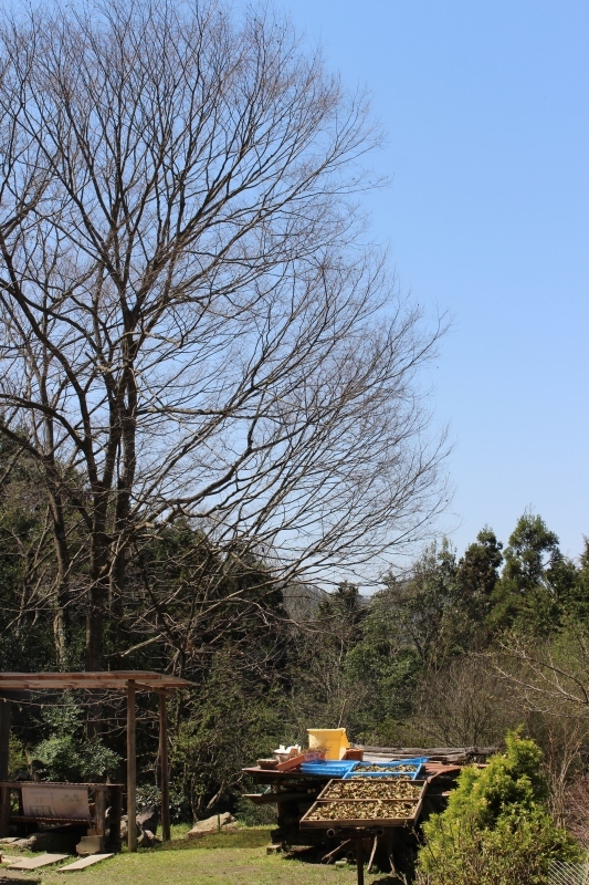 b0220318_11444336.jpg