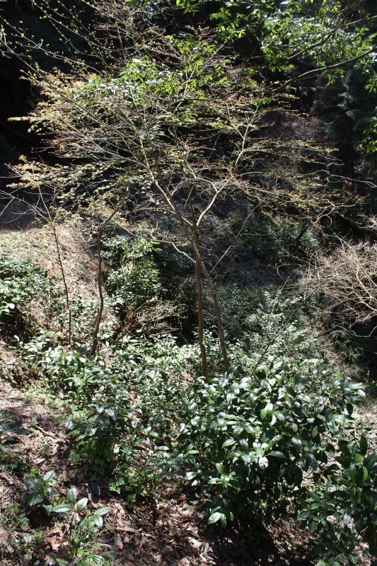 b0220318_11461662.jpg