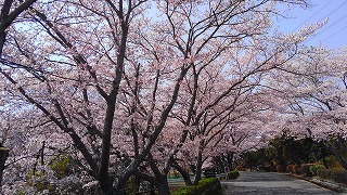 e0352820_11122948.jpg