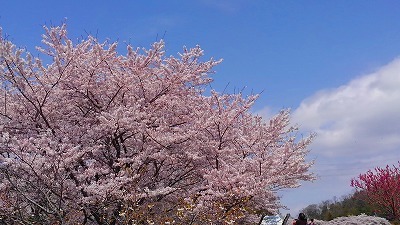 e0352820_11123667.jpg